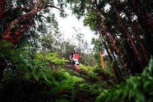 BIB: 
                            <button type="button" onclick="openModal(26202358)" class="btn btn-primary btn-sm float-right btn-popup" data-toggle="modal" data-target=".modal-high-quality">
                        <i class="fas fa-shopping-cart"></i> Add to Cart
                    </button>
                                            <button type="button" onclick="isThisMe(26202358, true)" class="btn btn-success btn-sm float-right btn-popup btn-isme hidden" data-toggle="tooltip" data-placement="bottom" title="นี่คือรูปของคุณใช่ไหม คลิกที่นี่เพื่อเอาเข้าอัลบั้ม">
                        <i class="fas fa-plus"></i> Add to album
                    </button>
                    <button type="button" onclick="isThisMe(26202358, false)" class="btn btn-warning btn-sm float-right btn-popup btn-isnotme hidden">
                        <i class="fas fa-ban"></i> Remove from album
                    </button>